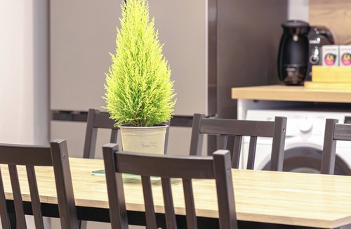 Quartier Saint-Marc - Croix de Pierre - Saint-Nicaise Apartment | L'Esprit Normand, chaleureux appartement fraichement rénové proche CHU
