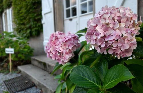 Saint-Herblain Bed & Breakfast | L'Essongère