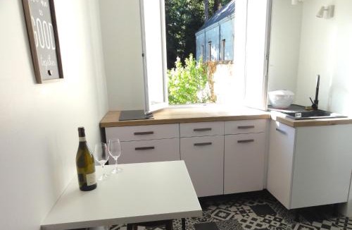 Saumur Apartment | L'ETOILE LOIRE, Saumur centre avec jardin