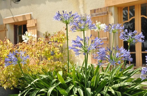 Auriebat House | L'Eveil des Sens