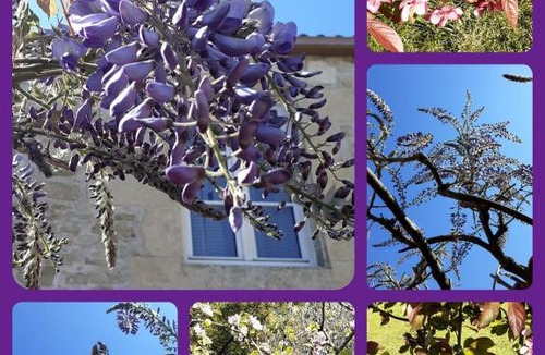 La Reorthe House | L'Heureux Lay