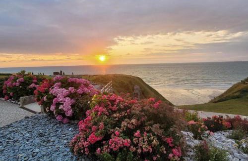 Saint-Martin-en-Campagne Other | L'hippo 51