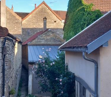 Noyers-sur-Serein House | l'Hirondelle de la Ruelle