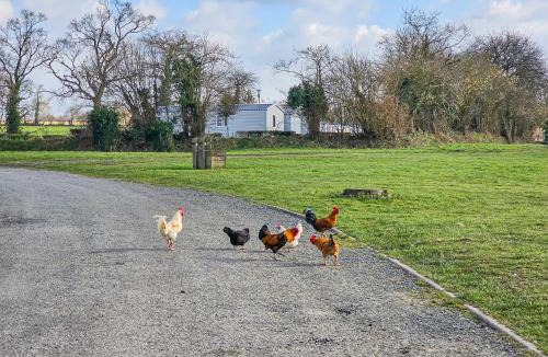 Litteau Other | L'horizon du bonheur