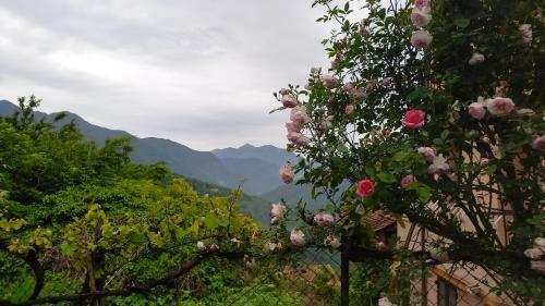 Belvedere Bed & Breakfast | L'Ibrus Blue