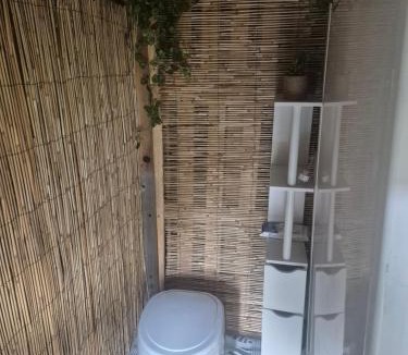 Maxent Other | L insolite