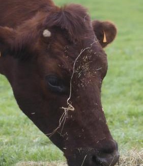 Origny-en-Thierache House | L'instant bucolique