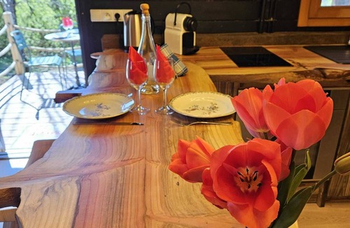 La Bussiere-sur-Ouche Ski Chalet | l'interlude, with spa, 2pers+2, Burgundy