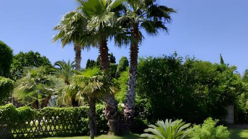 Argeliers House | L'oasis