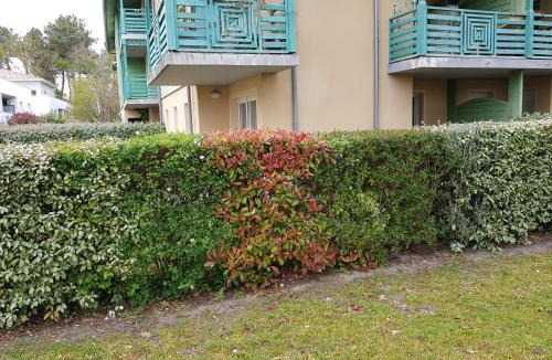 Audenge Apartment | L'océan