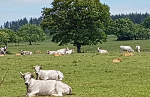 La Tourette-Cabardes House | l'Oeil de Carcassonne