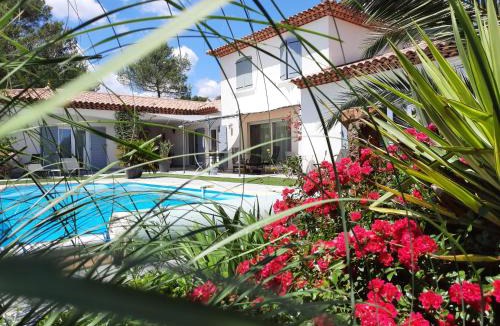 Trans-en-Provence Bed & Breakfast | L Olivadou B&B