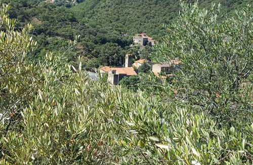 Saint-Michel-de-Llotes Bed & Breakfast | L'Oliveraie des 3 Mas