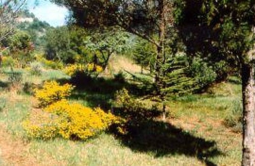 Saint-Martin-des-Puits House | L'Olivier - SAINT MARTIN DES PUITS