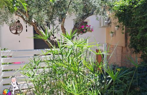 Saint-Andre-de-Sangonis Apartment | L'Olivier