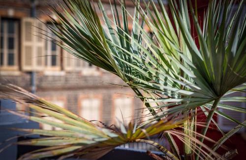 Fecamp Apartment | L'olivier Studio Lumineux avec agréable terrasse