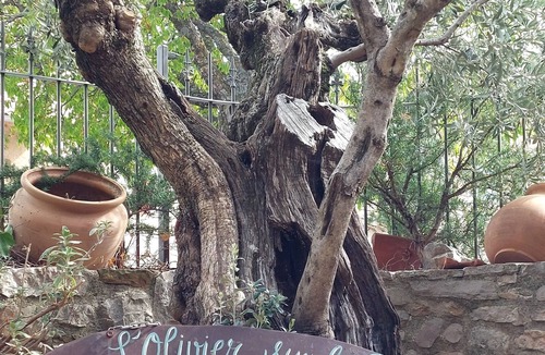 La Rochegiron Bed & Breakfast | l'olivier sur la place bed and breakfast