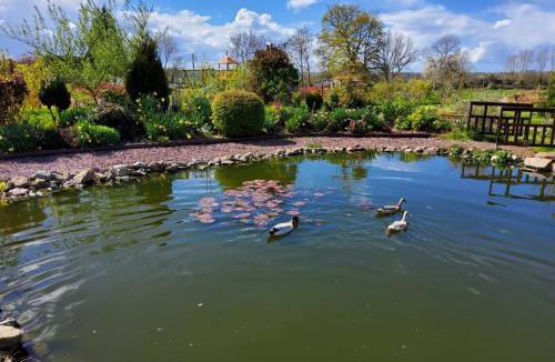 Courtonne-la-Meurdrac Bed & Breakfast | L’Ombragée Au Doux Refuge