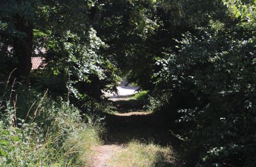 Saint-Thomas-de-Conac House | L'Ombrière