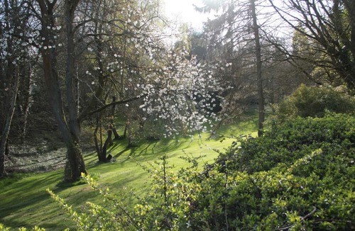 Les Grandes-Ventes House | L'Orée d'Eawy - GRANDES VENTES (LES)