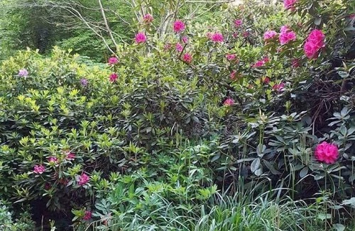 Les Grandes-Ventes House | L'Orée d'Eawy - GRANDES VENTES (LES)