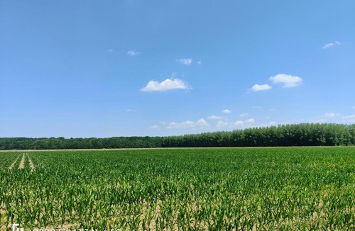 Haverskerque House | L'orée du bois