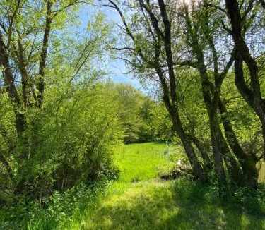 Moncheux House | L Orée Du Bois