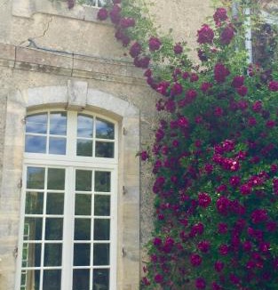 Conde-sur-Seulles House | L'Orangerie du Grand Jardin