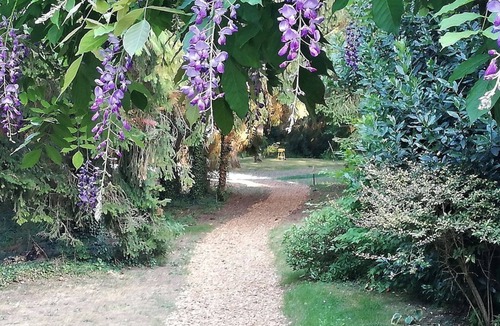 Bransles House | L'Orangerie du Moulin/Campanule Caravan