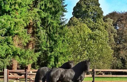 Bacilly House | L'Orangerie