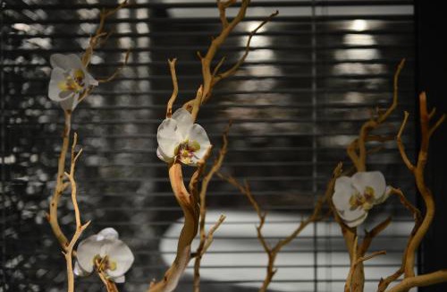 Sevrier Bed & Breakfast | L'Orchidée