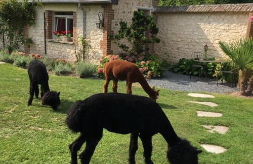 Amfreville-sur-Iton House | L'Oreade