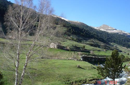 Soldeu Apartment | L'ORENETA - Peu del Riu 712 - Vall d'Incles - Soldeu Hut 8367