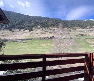 Soldeu Apartment | L'ORENETA - Peu del Riu 712 - Vall d'Incles - Soldeu Hut 8367