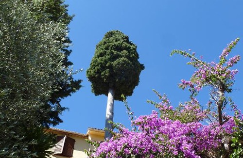 L'Escarene Bed & Breakfast | L'Origane