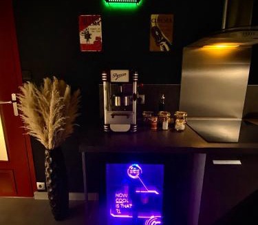 Quartier des Eaux-Claires Apartment | L unique Cinéma Room