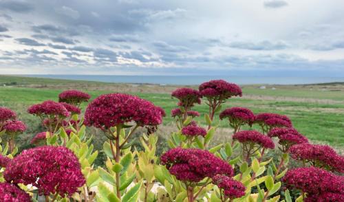 Wimereux Apartment | La Baie Saint Jean Face Mer