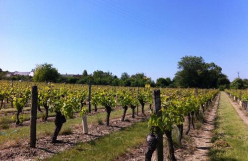 Beaumont-en-Veron Bed & Breakfast | La Balastière