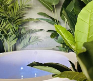 La Chapelle-des-Fougeretz Apartment | La Balinaise Evasion Spa Cinéma privé