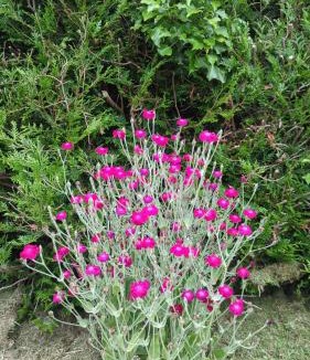 Hambye House | La Balnière Normande
