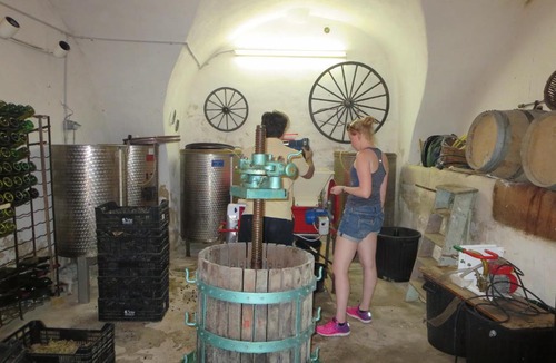 Puget Bed & Breakfast | La Baronne