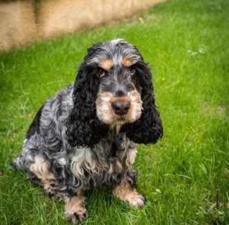 Cours-de-Pile House | La Bastide avec piscine privée, pétanque et climatisation