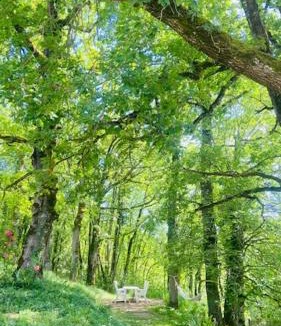 Larroque House | La Bastide de Marie & Pascal