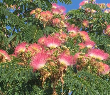 Aiguines Bed & Breakfast | La Bastide des Cades