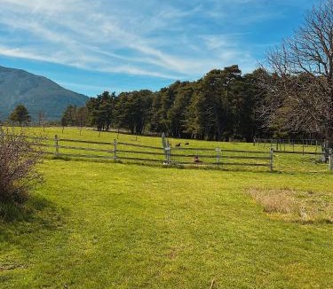 La Bastide House | La Bastide des Pins