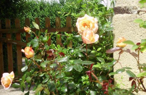 Pontorson Bed & Breakfast | La Bastide du Moulin - Mont St Michel