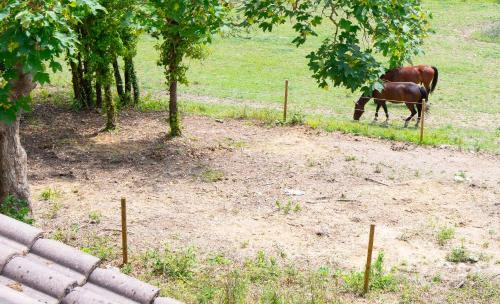 Puycalvel House | La Bastide