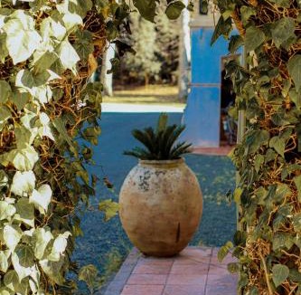 Cap Esterel House | La Bastide