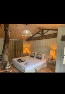 Damvix House | La Belle Epoque - Chambres d'hôtes & SPA