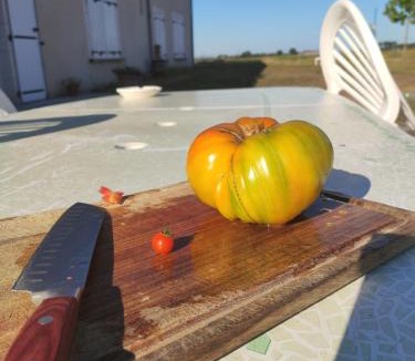 Valencay House | LA BELLE ETOILE